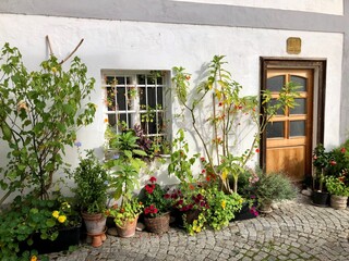 Fototapeta na wymiar Urban gardening . Pflanzen vor Haus in Altstadt von Steyr, Österreich