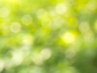 Obraz premium Green and yellow background image with a blurry octagonal shape