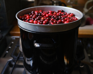 Colorful strawberry tree berries ready to prepare a delicious and sweet jelly
