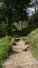 Empty path