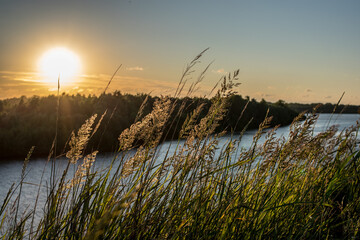 Beautifull summer sunset on the siberian river