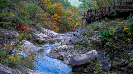 Autumn scene at Seoraksan-ro Seorak National Park, Sokcho South Korea (Asia)