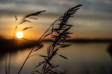 Beautifull summer sunset on the siberian river