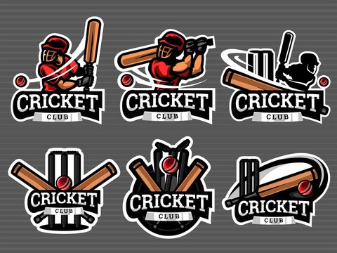 Set of cricket logos and emblems in grey colour. Cricket Vector illustration