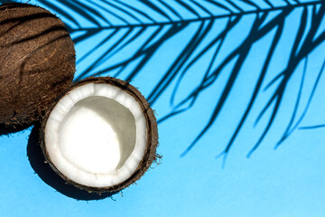 Ripe coconut on blue background with coconut tropical palm leaf shadow. Healthy stile life, food and summer holiday concept. Space for text.