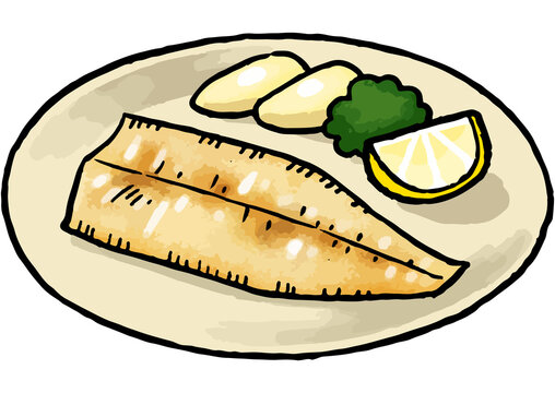 3 Best 平目 Images Stock Photos Vectors Adobe Stock 3 Best 平目 Images Stock Photos Vectors Adobe Stock