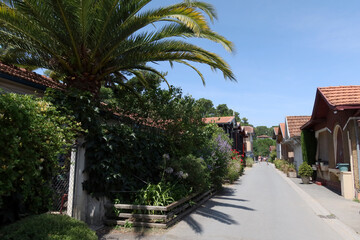 Fototapeta na wymiar Cap Ferret (Village L'Herbe)