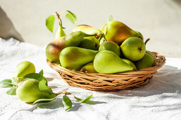 Fresh organic ripe pears with leaves in the wicker basket on gray background. Thanksgiving dinner. Healthy eating concept. Selective focus