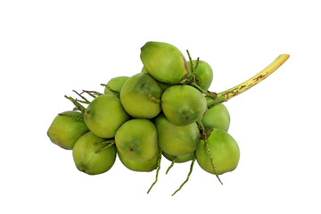 Fresh of coconut isolated on white background
