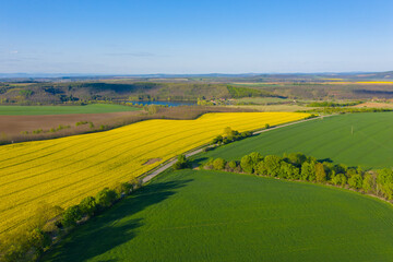 Notincs, Hungary - Aerial view of cultivated blooming canola field at countryside with tiny lake at the background and beautiful spring colors. 