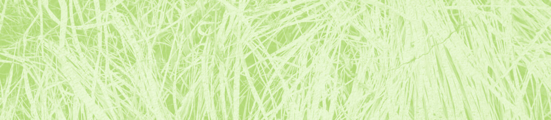 abstract light green background with copy space for design