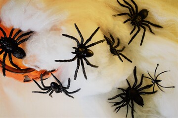 Scary background, panic spiders around, cobwebs and halloween pumpkin, representing the famous holiday in October