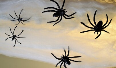 White fabric background, on it spiders, various species, panic and fear