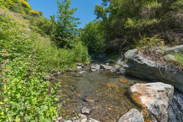 Fototapeta na wymiar Crystal clear river surrounded by vegetation and stones