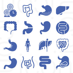 16 pack of digestion  filled web icons set