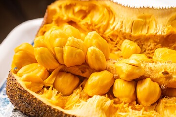 Closed up shot of opened jackfruit or locally known as cempedak/chempedak