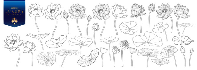 Lotus Vector element. lotus line arts design for packaging template, pattern design element, vintage background, luxury logo, beauty and cosmetic wallpaper vector illustration.