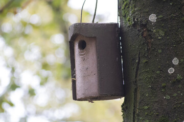 Abris oiseau