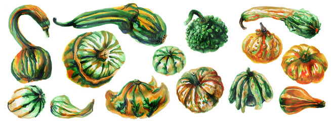 Autumn watercolor set of decorative pumpkins and zucchini isolated on a white background. Autumn harvest of unusual pumpkins. Watercolor illustration. the horizontal composition.