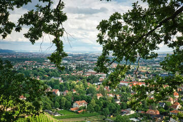 Dresden city view from the vineyards with clouds