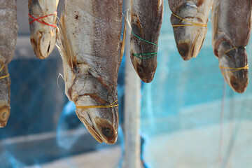 Dried fish hanging in the 
sunlight with insect net.