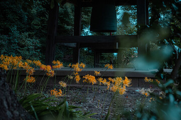 お寺に佇む沙羅双樹