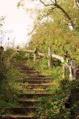 The stairs to the highest point in Rhein-Erft Kreis