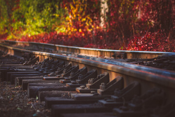 Railway in the autumn forest. The rails reflect the bright sun. Sleepers and railway fastening close-up.