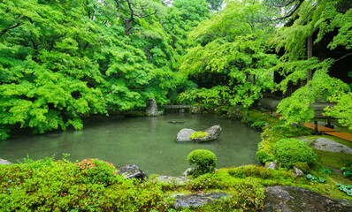 Fototapeta na wymiar 京都　蓮華寺の新緑