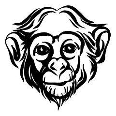 Obraz premium Hand drawn portrait of monkey chimpanzee. Black and white