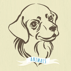 Hand drawn portrait of dog labrador