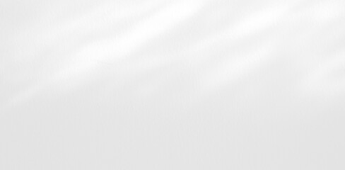 Abstract Shadow. blurred background. gray leaves that reflect concrete walls on a white wall surface for blurred backgrounds and monochrome wallpapers.