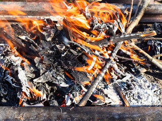 burning tree branches in outdoor brazier close up