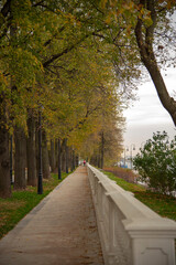 An alley strewn with leaves in a Park.