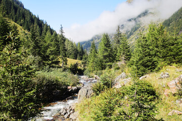 Fototapeta na wymiar The mountain river Riesachbach in Styria, Austria