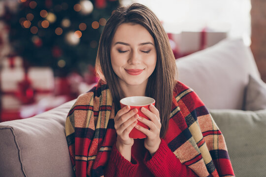 Photo of lovely lady sit sofa hold cup smell close eyes wrapped blanket wear red sweater in decorated x-mas living room indoors
