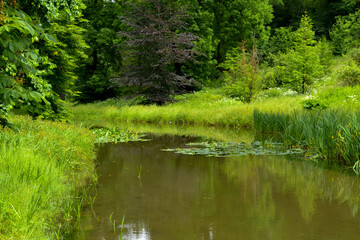 Green lake in Sofiyivsky Park - a botanical garden located in the City of Uman, Ukraine, near the Kamianka River. 