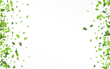 Grassy Greenery Herbal Vector White Background 