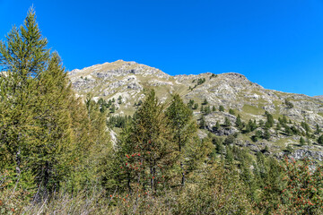 Fototapeta na wymiar Paysage de montagne dans le Mercantour