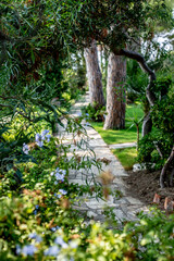 spring in the forest