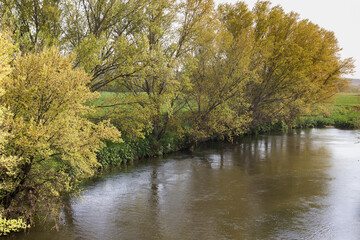 Fototapeta na wymiar Árboles frondosos en la ribera del curso de un río, reflejándose en el agua