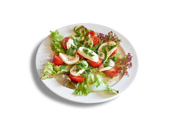 White plate with tomatoes and mozzarella on salad.