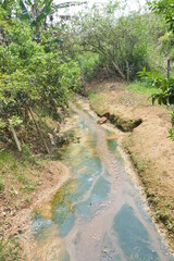 stream in the forest