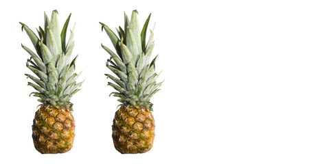 pattern. pineapples on a white background. juicy tropical fruit. minimalistic style