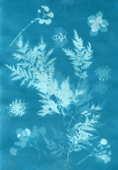 Fototapeta na wymiar sun-printing or cyanotype process. Floral patter created with cyanotype technique