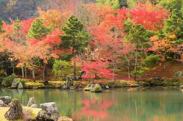 秋・紅葉の京都 天龍寺