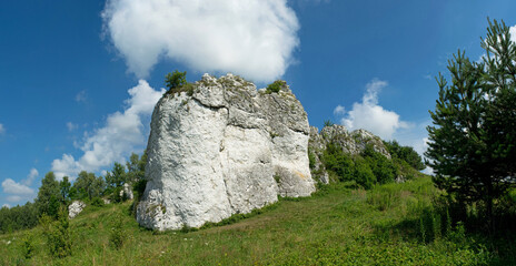 Wapienne skały. Jura Krakowsko-Częstochowska. Park krajobrazowy Dolinki Krakowskie. Panorama.