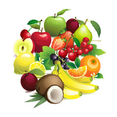 Circle shape contains different fruits with leaves and flowers