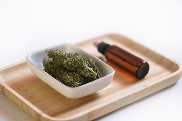 CBD plant buds for oil extraction for medicinal use.