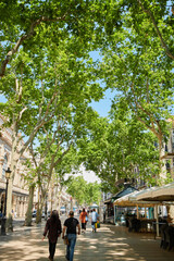 Las Ramblas in Barcelona, Spain